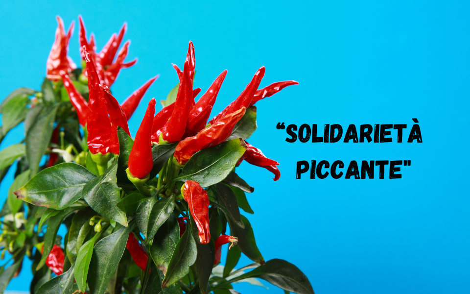 solidariet-piccante