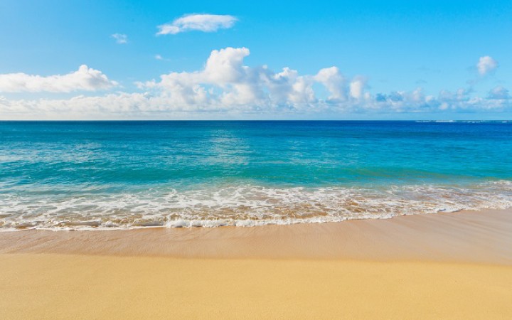 mare